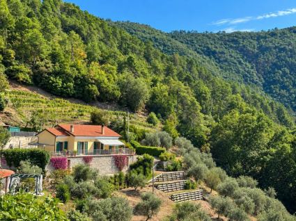 La Villa che Sorride al Mare |  -  - 