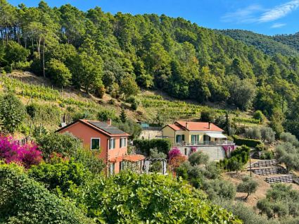La Villa che Sorride al Mare |  -  - 