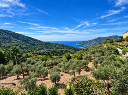 La Villa che Sorride al Mare |  -  - 