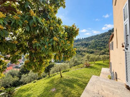 Villa Suprema |  -  - 