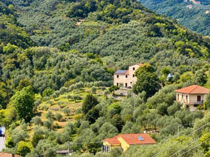 Villa Suprema |  -  - 
