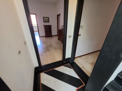 Appartamento del Caruggio |  -  - 