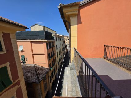 Appartamento del Caruggio |  -  - 