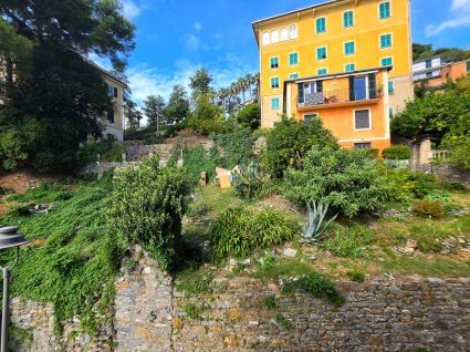 Appartamento Re di Zoagli |  -  - 