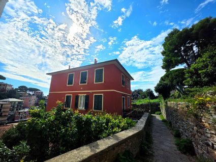 Appartamento Re di Zoagli |  -  - 