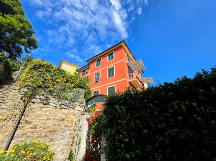 Appartamento Re di Zoagli |  -  - 