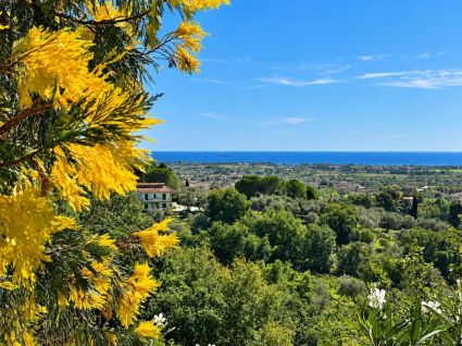 La Villa del Sole |  -  - 