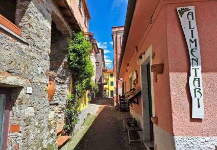La Casa Rosa |  -  - 