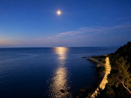 Casa la Foresta sul Mare |  -  - 