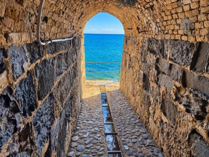 Casa la Foresta sul Mare |  -  - 
