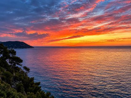 Casa la Foresta sul Mare |  -  - 