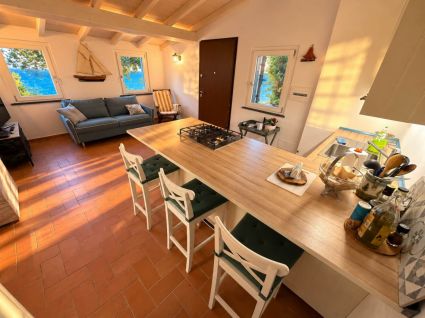 Antico Rustico del Mesco |  -  - 