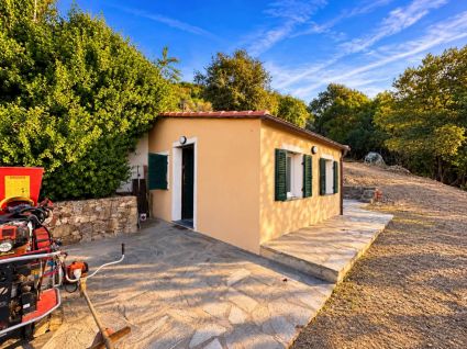 Antico Rustico del Mesco |  -  - 