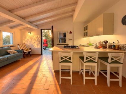 Antico Rustico del Mesco |  -  - 