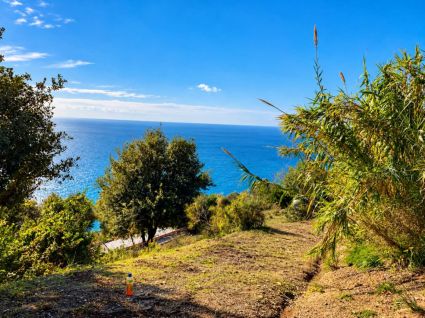 Antico Rustico del Mesco |  -  - 