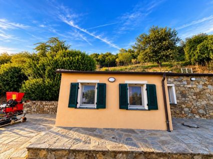 Antico Rustico del Mesco |  -  - 