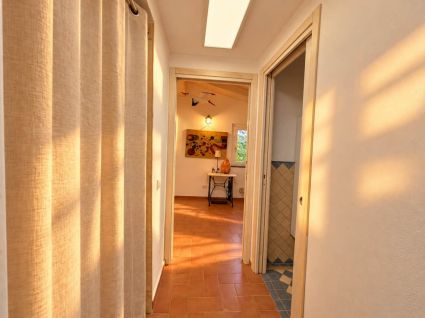 Antico Rustico del Mesco |  -  - 