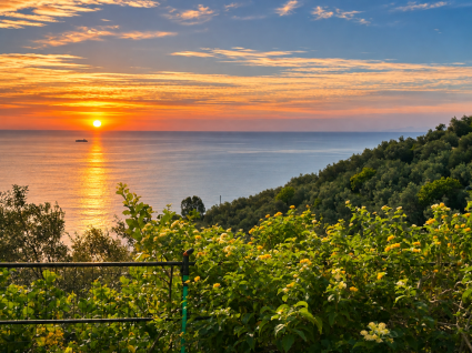 Rustico il Paradiso puo' Attendere |  -  - 
