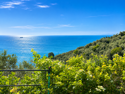 Rustico il Paradiso puo' Attendere |  -  - 
