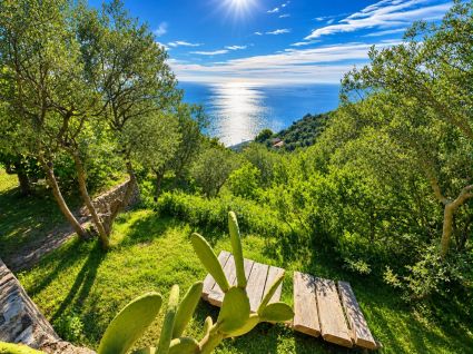 Rustico il Paradiso puo' Attendere |  -  - 