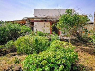 Antico Dammuso di Pantelleria - Частные дома и виллы