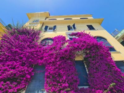 La Perla di Monterosso al Mare - Case & Ville di Pregio